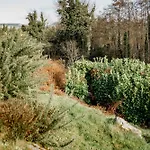 Semesterbostad The Wild Atlantic Hideaway Inch (Donegal)